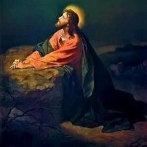 Meet your Posher, Lee